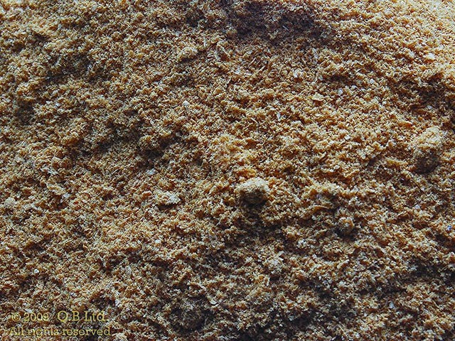 Krill Meal – Quality Baits