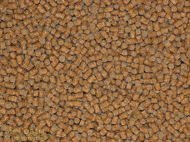 Carp Feed Pellets – Quality Baits